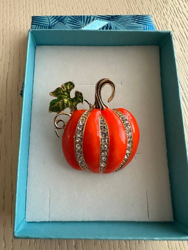 Брошки разного дизайна в коробочках 10