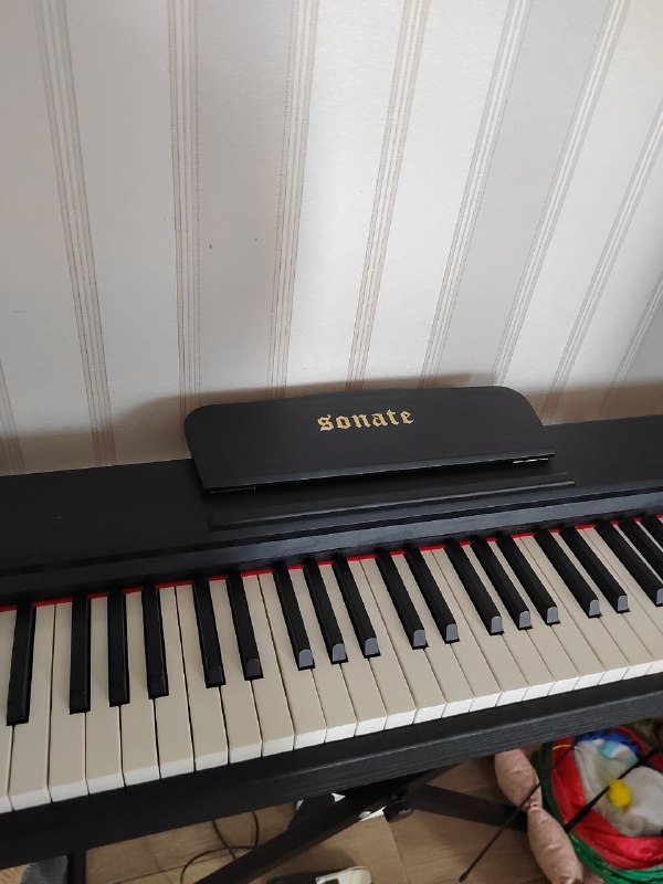 Цифровое пианино с подставкой 2