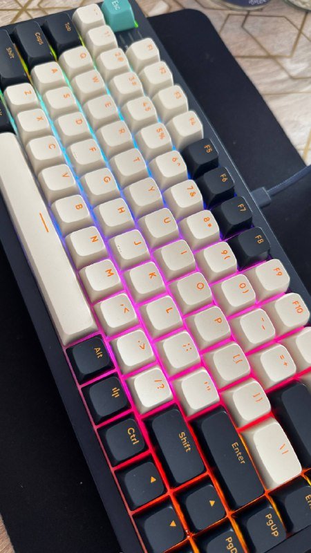 Механическая клавиатура Dark Project 2