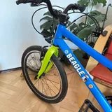 Велосипед Beagle 20", трюковой самокат Cityride, скейт-рыбка, футбольные бутсы Dolphin 36 3