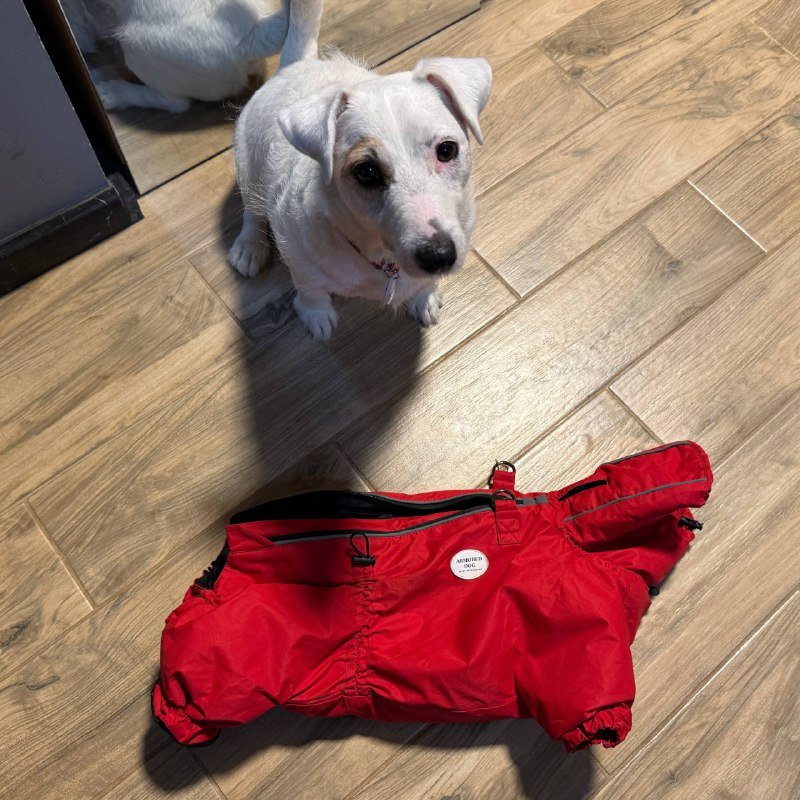 Комбинезон для собаки на кобеля 7-9 кг