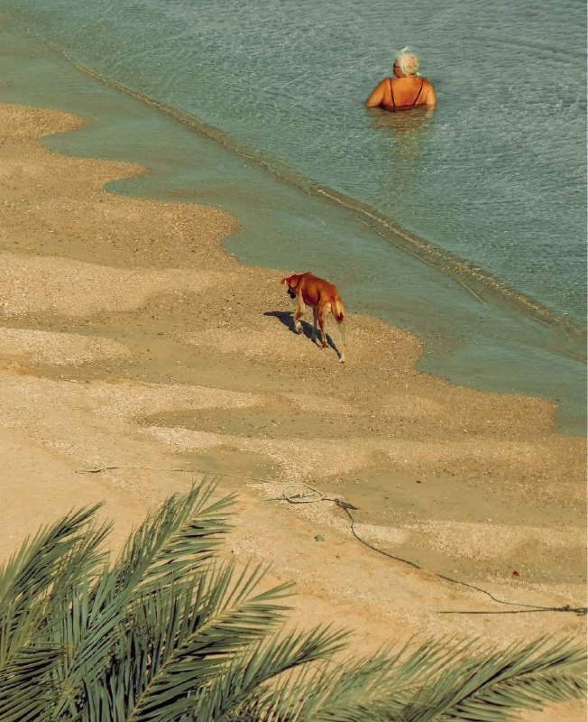 Panasonic Lumix ZS60 / TZ80 / TZ81 камера 7