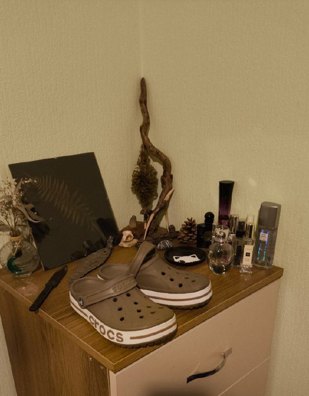 Тренч, бомбер, платье, кардиган, футболка, зипка, джинсы, обувь Crocs 7