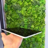 iPad 11 256GB Cellular 2