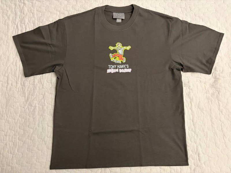 Футболка Y2K Tony Hawk's Pro Skater American Wasteland серая XL