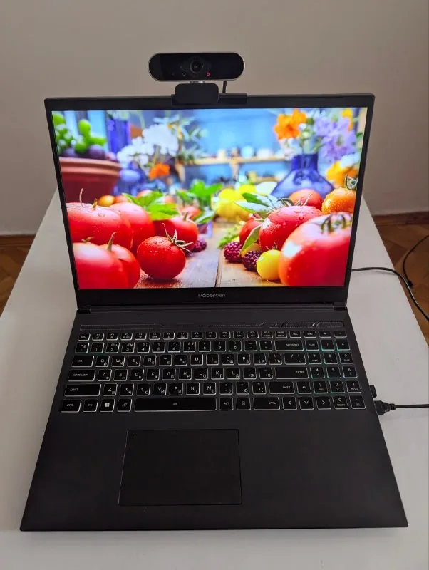 Ноутбук Maibenben X627 1