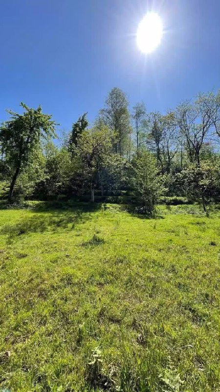 Участок 3000 м² с домом и садом в Ахалшени 4