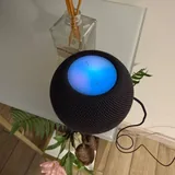 HomePods 2 mini, стул, стол, весы Xiaomi, блендер Xiaomi, увлажнитель Xiaomi, кронштейн, монитор DELL 5