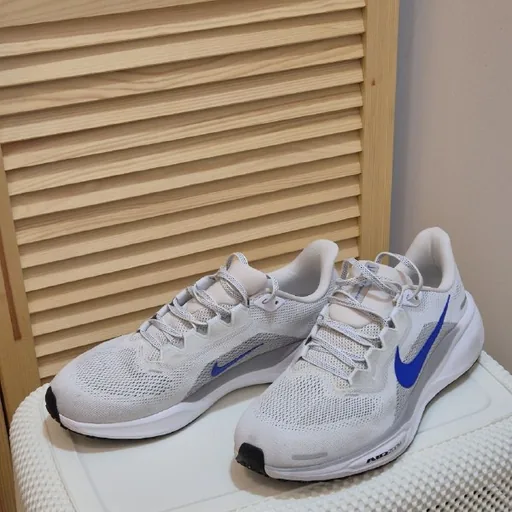 Nike Pegasus 41