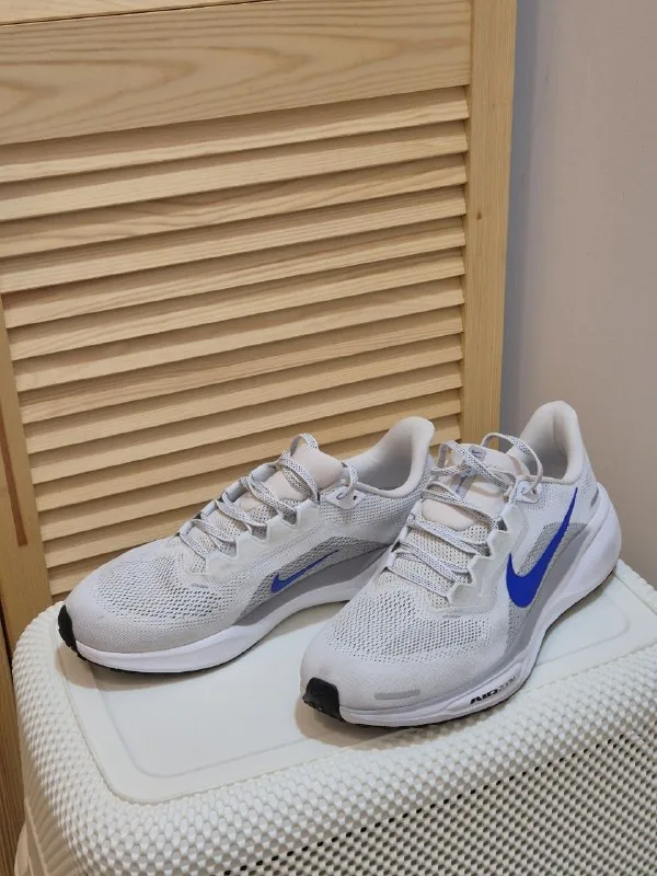 Nike Pegasus 41 1