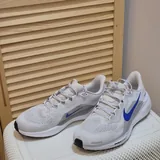 Nike Pegasus 41 1