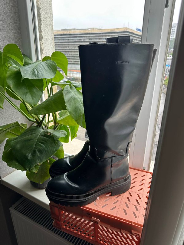 Книга, босоножки, балетки, сапожки 4