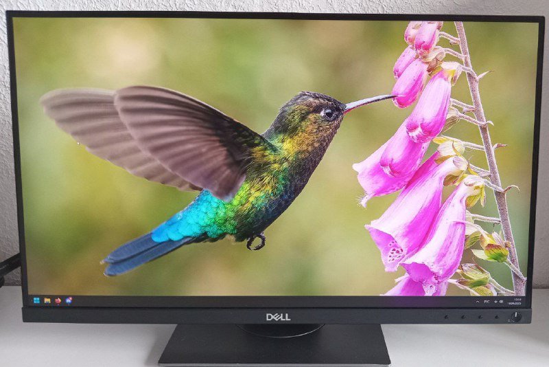 Монитор Dell P2418D