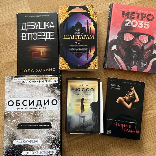 Книги «Девушка в поезде», «Шантарам», «Метро 2035», «Тёмные тайны», «Девушка из Бруклина», «Обсидио»