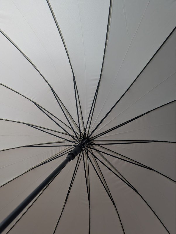 Зонт с цветочным рисунком 3