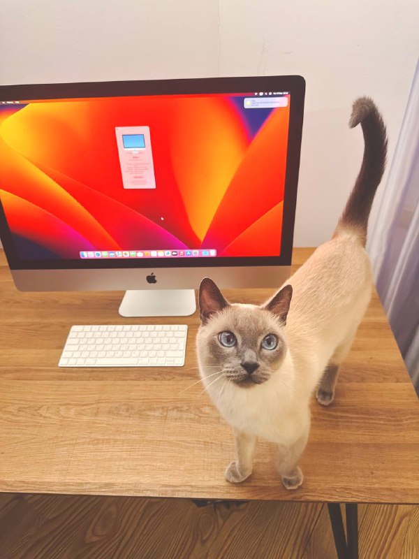 iMac Retina 5K 27 дюймов 2017 24GB 1TB Fusion Drive 3