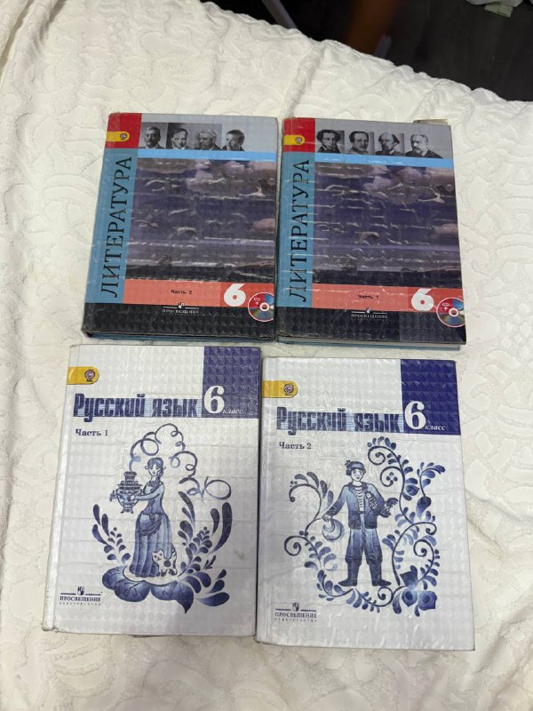 Учебники Литература и Русский язык 6 класс