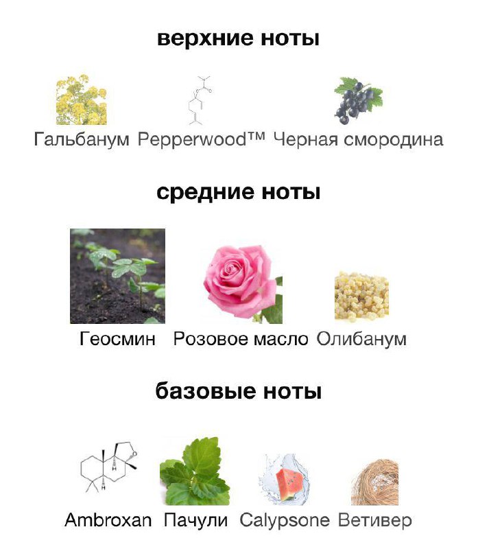 Реплика карты Скандинавии, кроссовки Salomon, вапорайзер DaVinci IQC, парфюмерия Etat Libre, акупунктурный матрас DERMIS с резинками 7