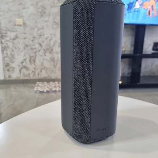 SONY SRS-XE300