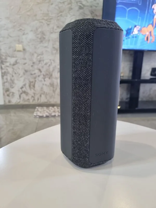 SONY SRS-XE300 1