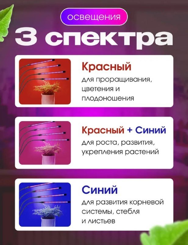 Фитолампа для растений 2 в 1 с прищепкой 2