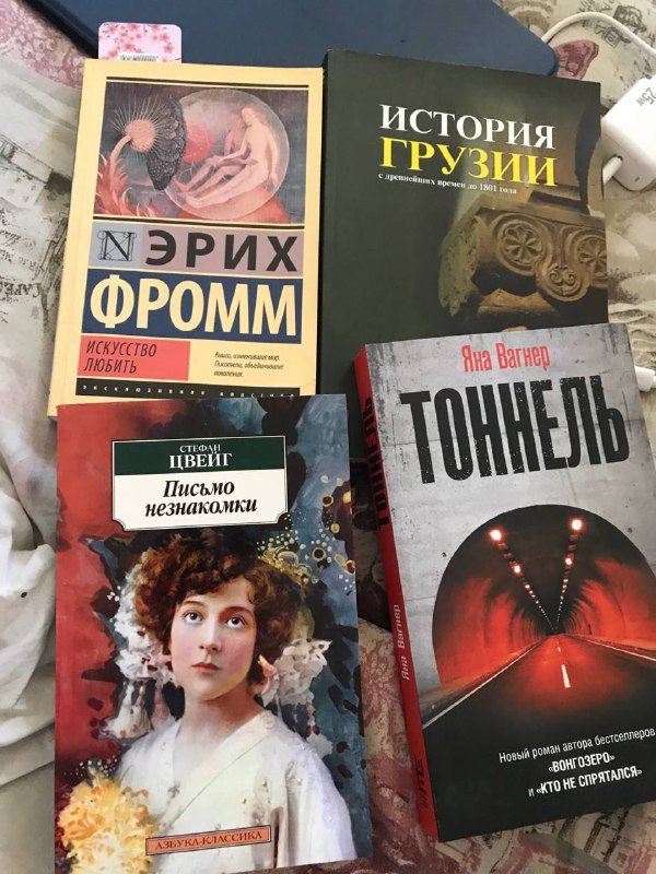 Эрих Фромм - Искусство любить, История Грузии, Стефан Цвейг - Письмо незнакомки, Яна Вагнер - Тоннель