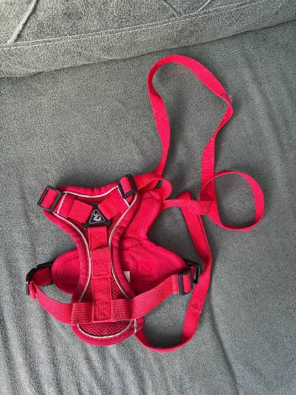 Товары для собак и кошек: поводок, шампунь, миски, лежанка, домик, дождевик, корм