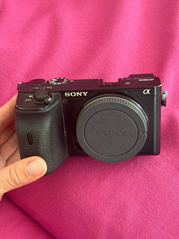 Sony A6600 Mirrorless Camera