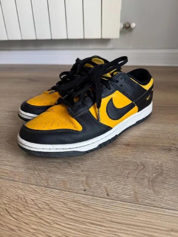 Nike Dunk 1