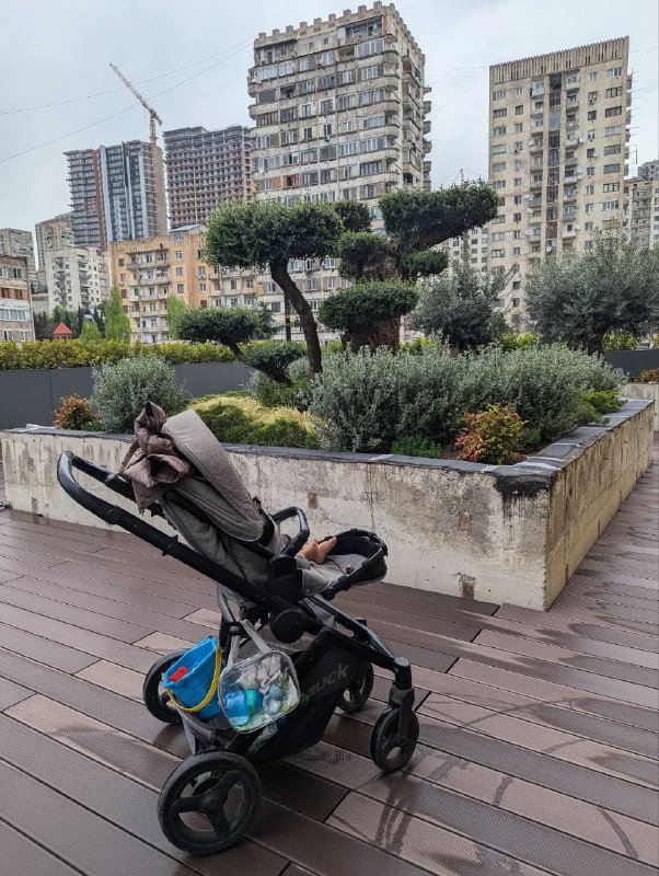 Коляска Hauck зима лето с автокреслом 2