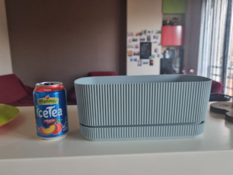 Каланхоэ, горшки, керамзит 4