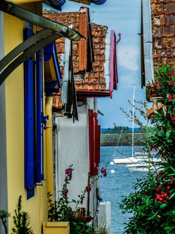 Panasonic Lumix ZS60 / TZ80 / TZ81 камера 5