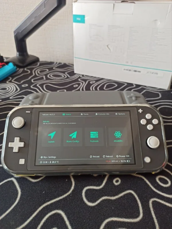 Nintendo Switch Lite 1