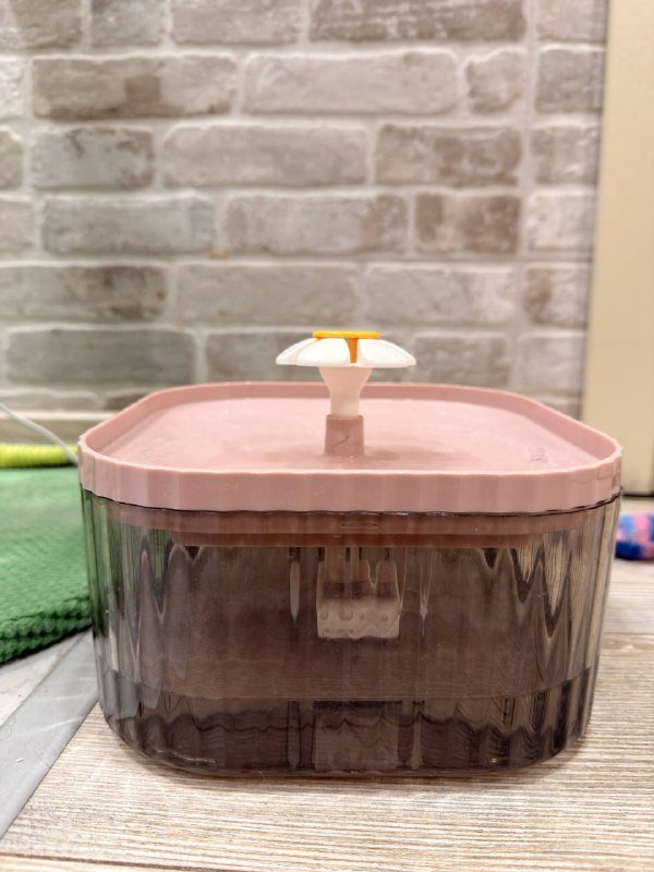 Кошачий фонтанчик