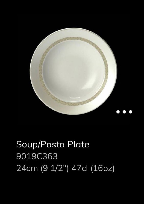 Soup/Pasta Plate 24 cm, Steelite 5