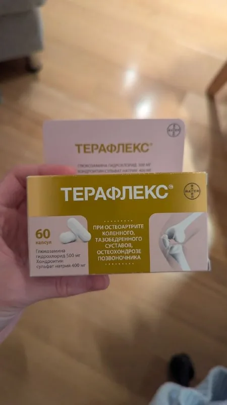 Терафлекс, 60 капсул 1