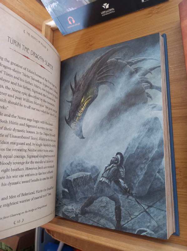 Книги Гейл Лаакманн МакДоуэлл, Флобер, Фукуяма, Коллинз, Дэй, Толкин, Уайльд, дневник 3