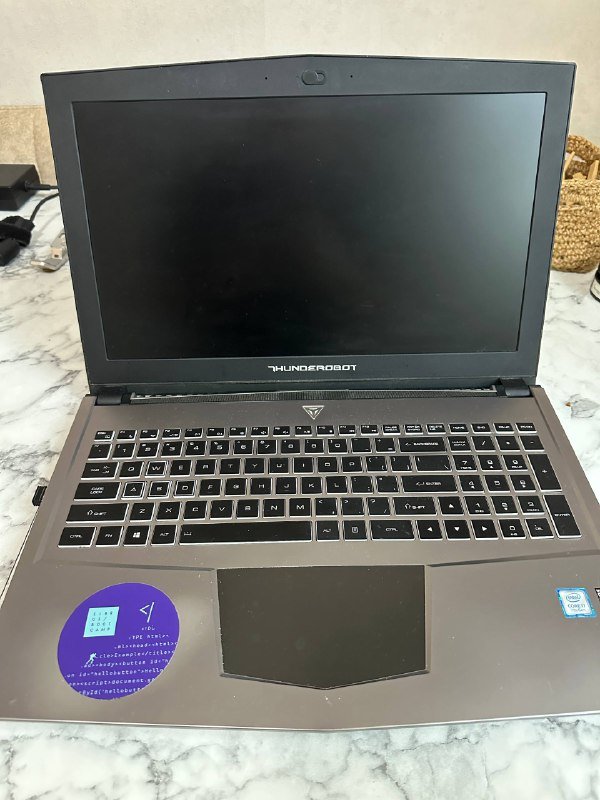 Игровой ноутбук Thonderobot Dino-X6R 6