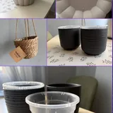 Композиции из суккулентов, горшки и кашпо 2