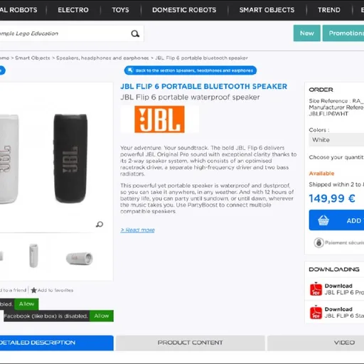 JBL Flip 6