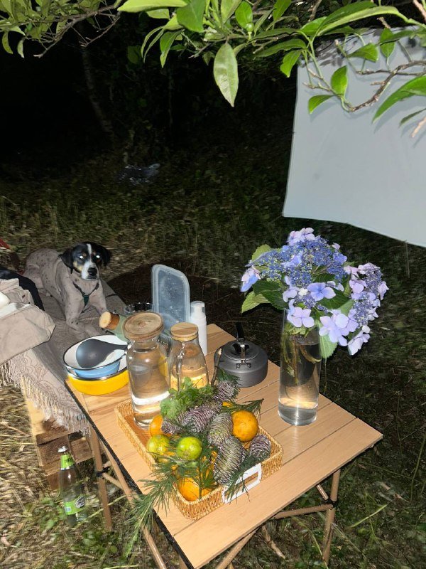 Раскладной походный стол бежевый с рисунком дерева 2