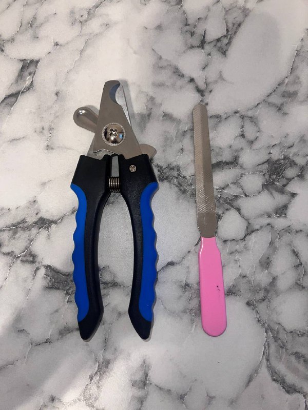 Ветеринарный воротник, одежда, когтерезка, аксессуары для ухода за животными 3