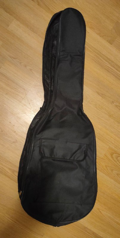 Электрогитара Ibanez Gax30 с чехлом 3