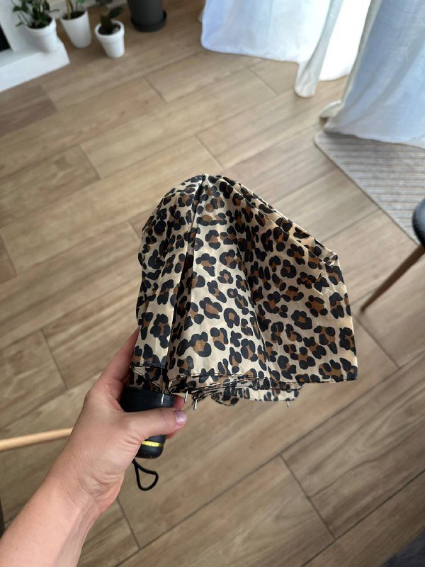 зонт и другие вещи