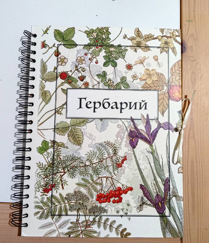 Гербарий, 16 картонных листов