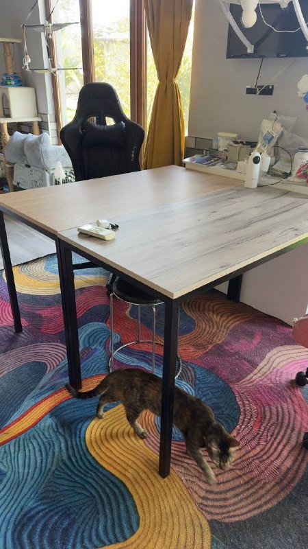 Два стола из горгии 2