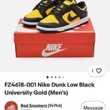 Nike Dunk 2
