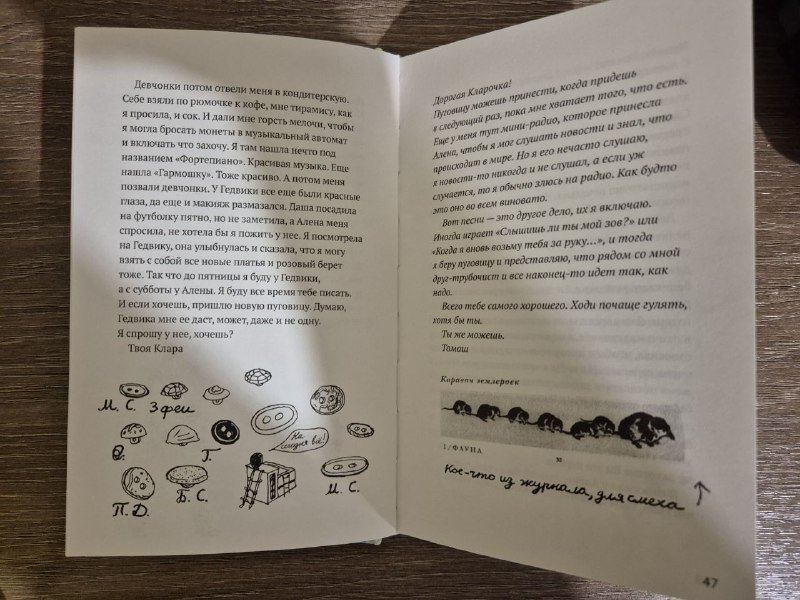 Книга Клара и 11 бабушек 6