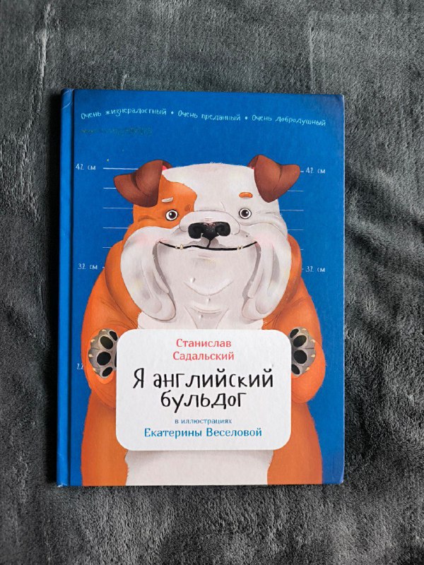 Книга чудулищ, Я английский бульдог, Транспорт, Бродилки лабиринты 2