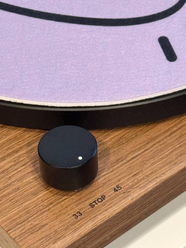 Виниловый проигрыватель Audio-Technica AT-LPW40WN 2